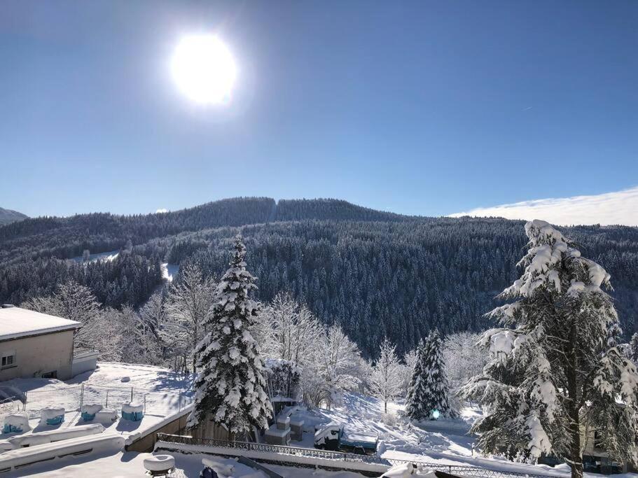 Appart' Du Haut-jura Apartment Morbier